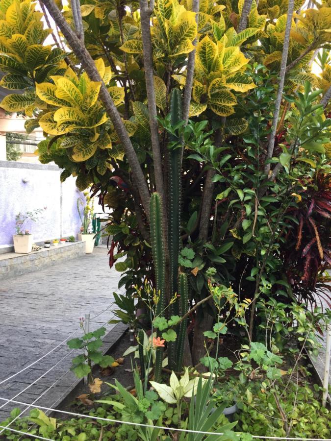 Casa Aconchegante Em Valqueire * Río de Janeiro